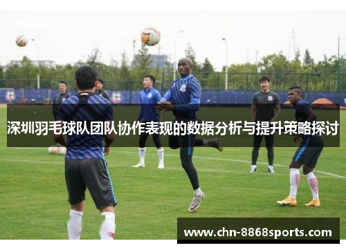深圳羽毛球队团队协作表现的数据分析与提升策略探讨